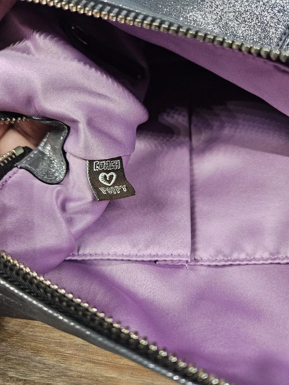 Coach Poppy Metallic Double Pocket Hobo